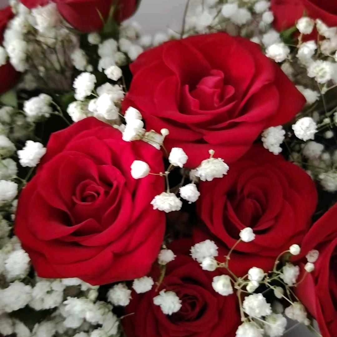 🥀᭄相见💕不如偶遇