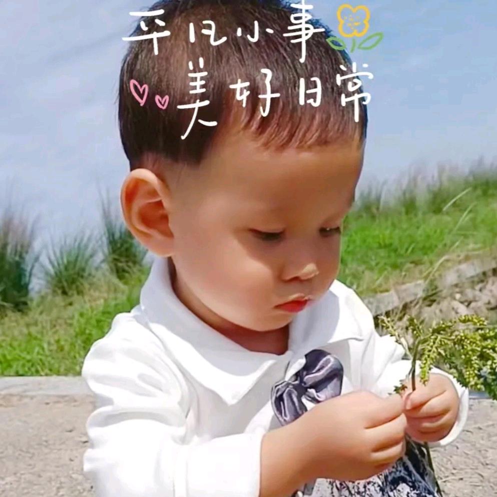 崽崽（英语启蒙）