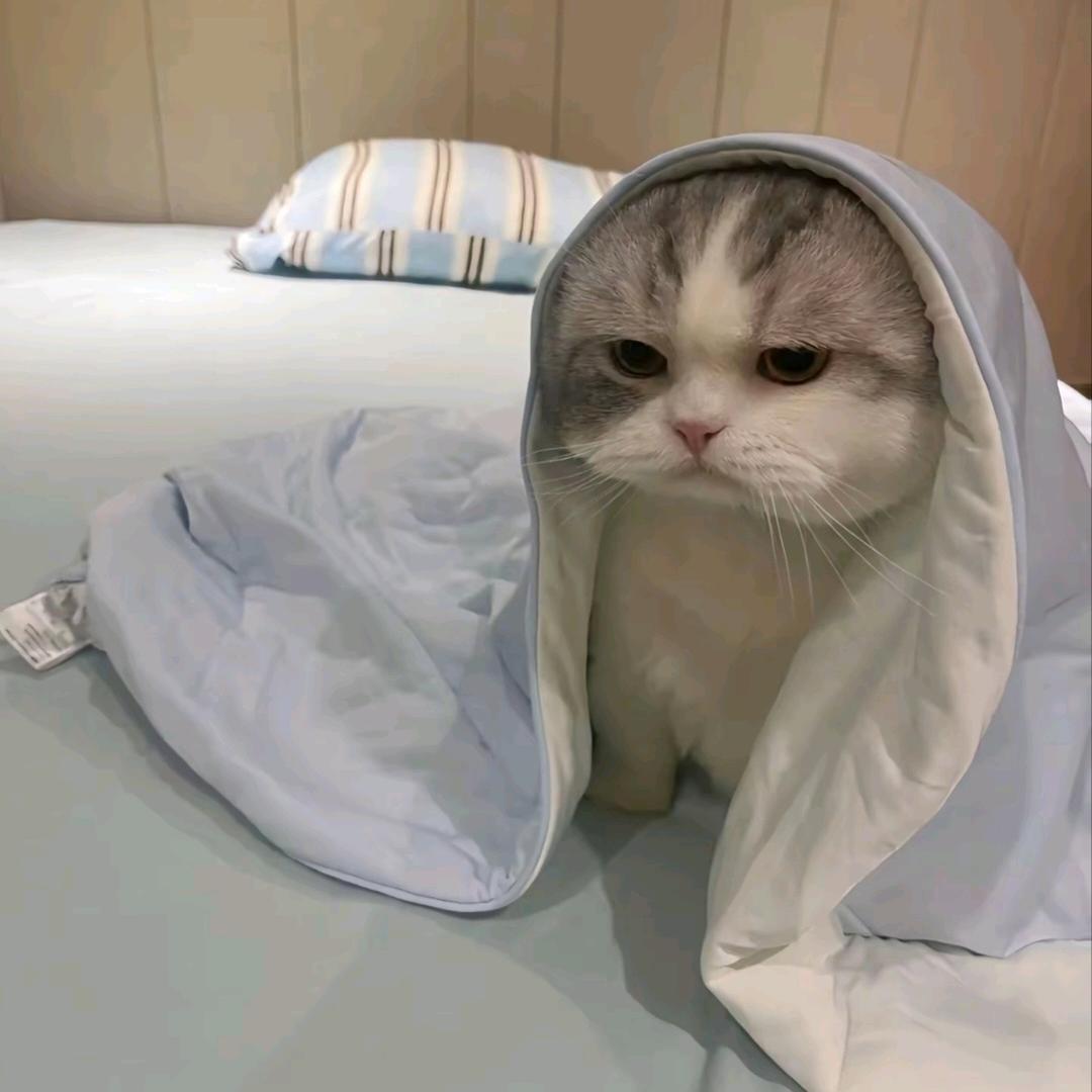 土块