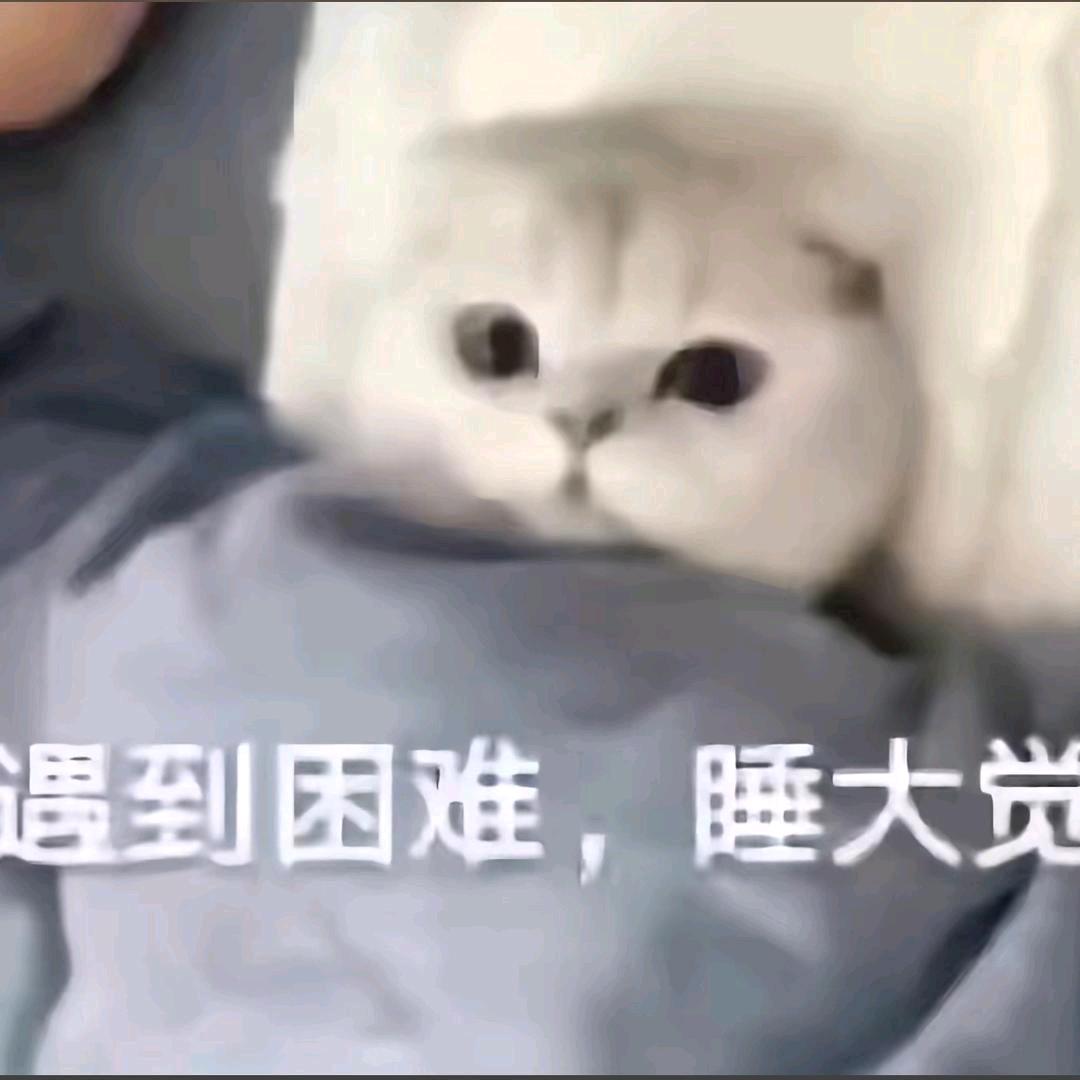 小梨小梨