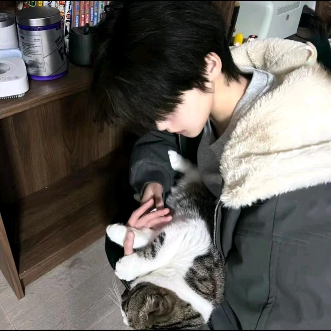 三角篓子（August）