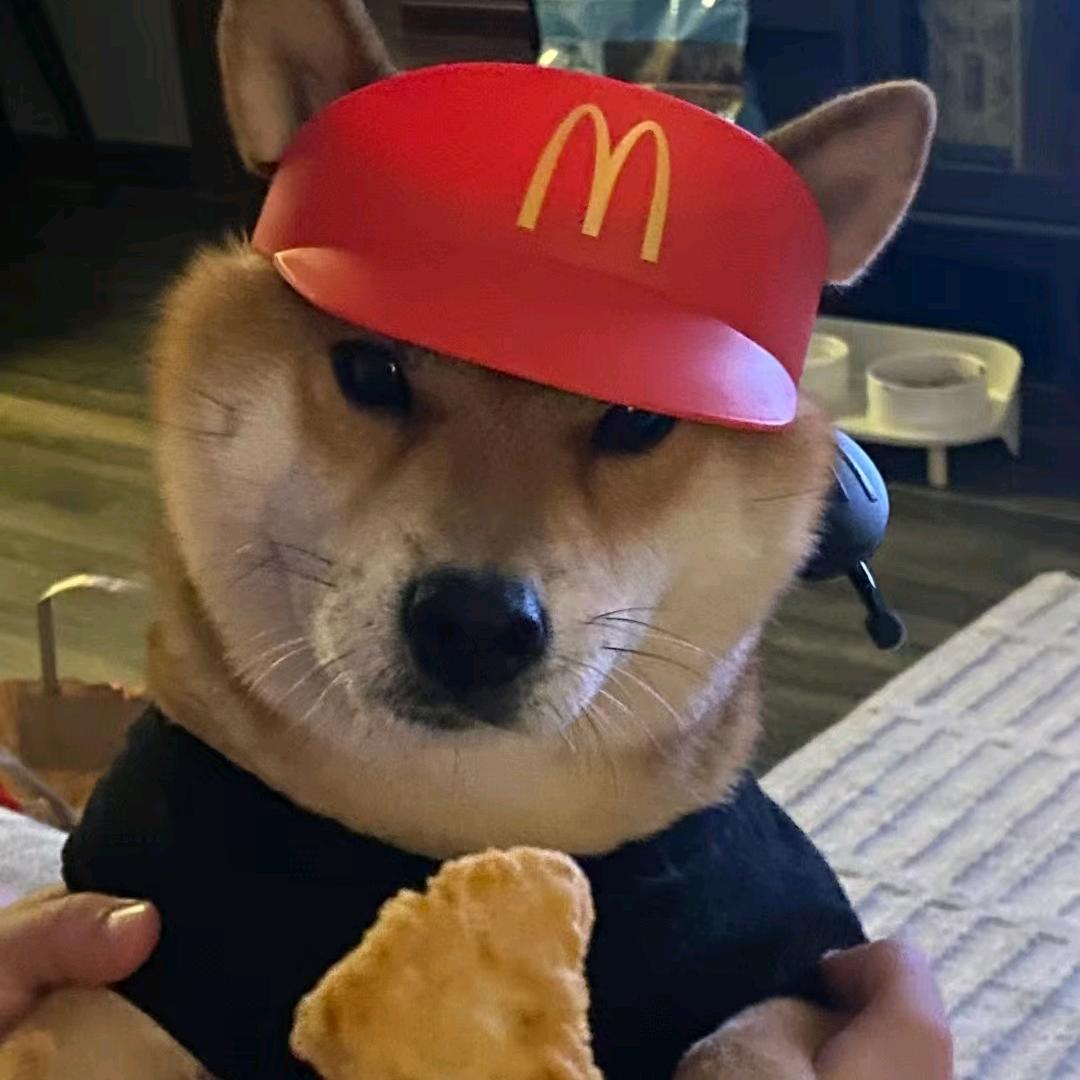 广东麦当当大师