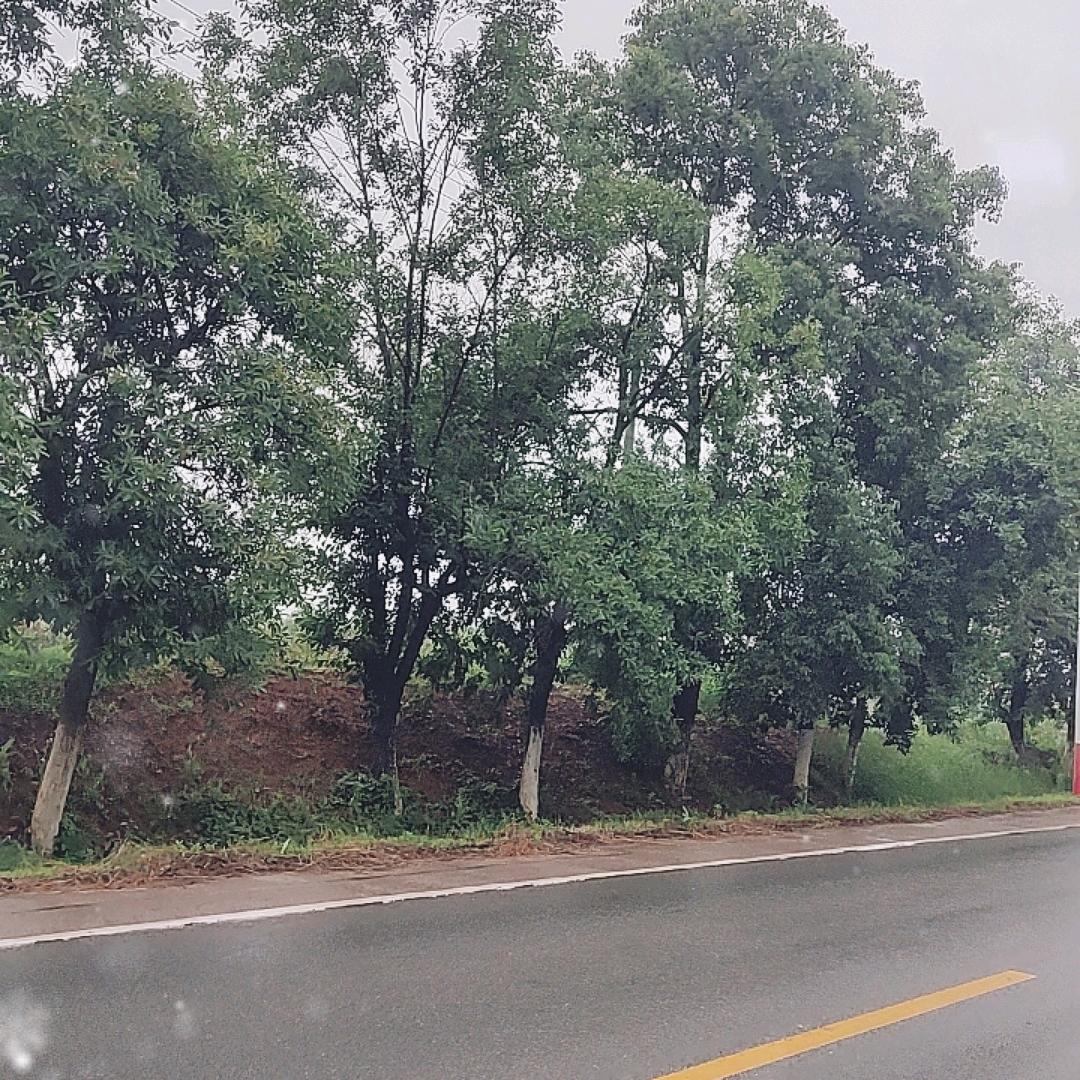 来财汇聚