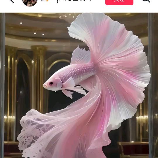 时光旅途