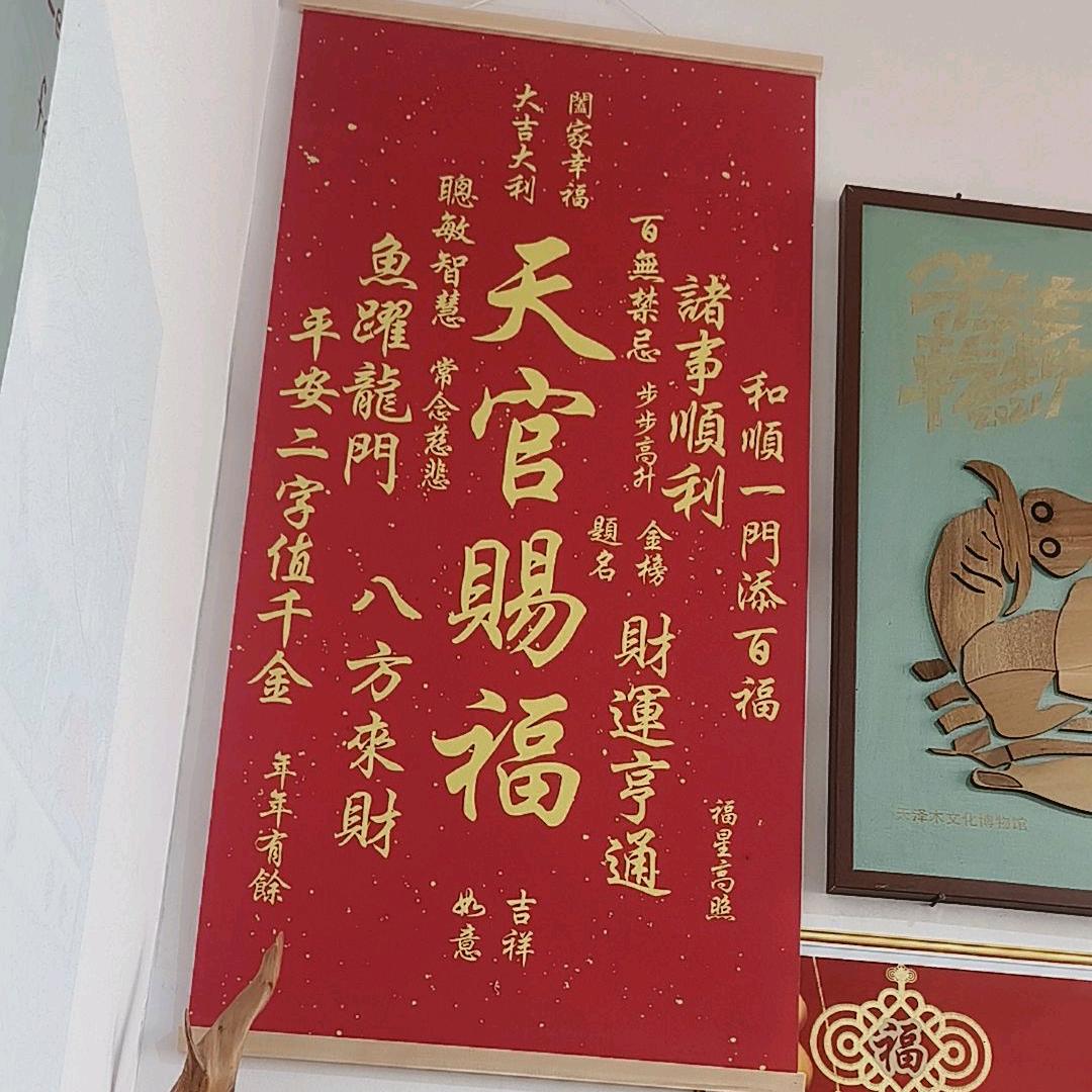 大毛的日常