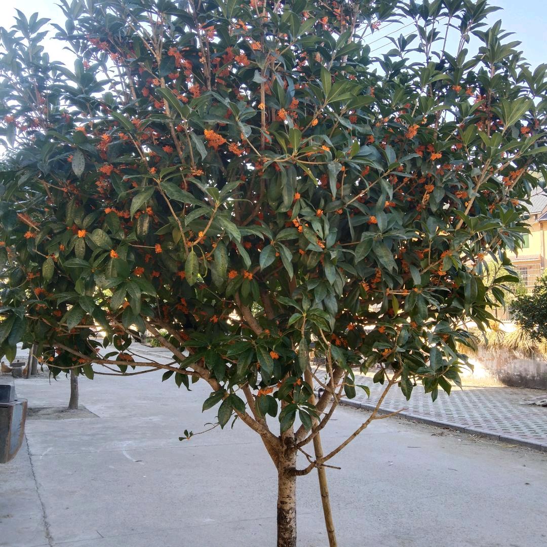 188