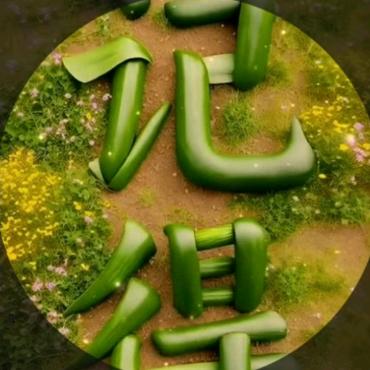 用户9916611677802