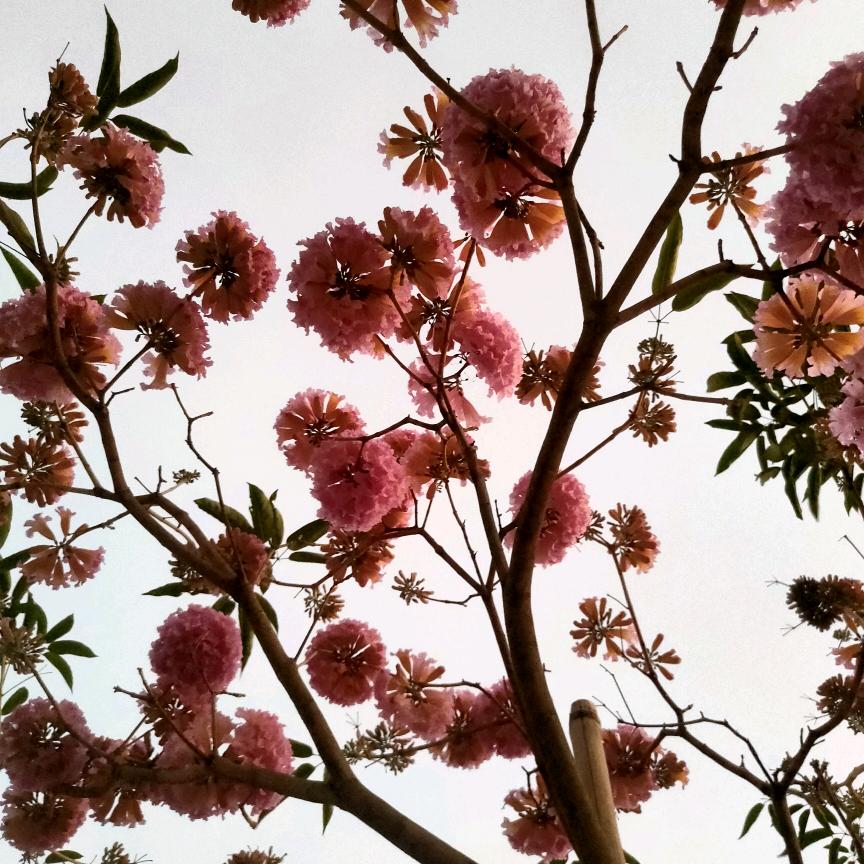 愿时光待我如初i