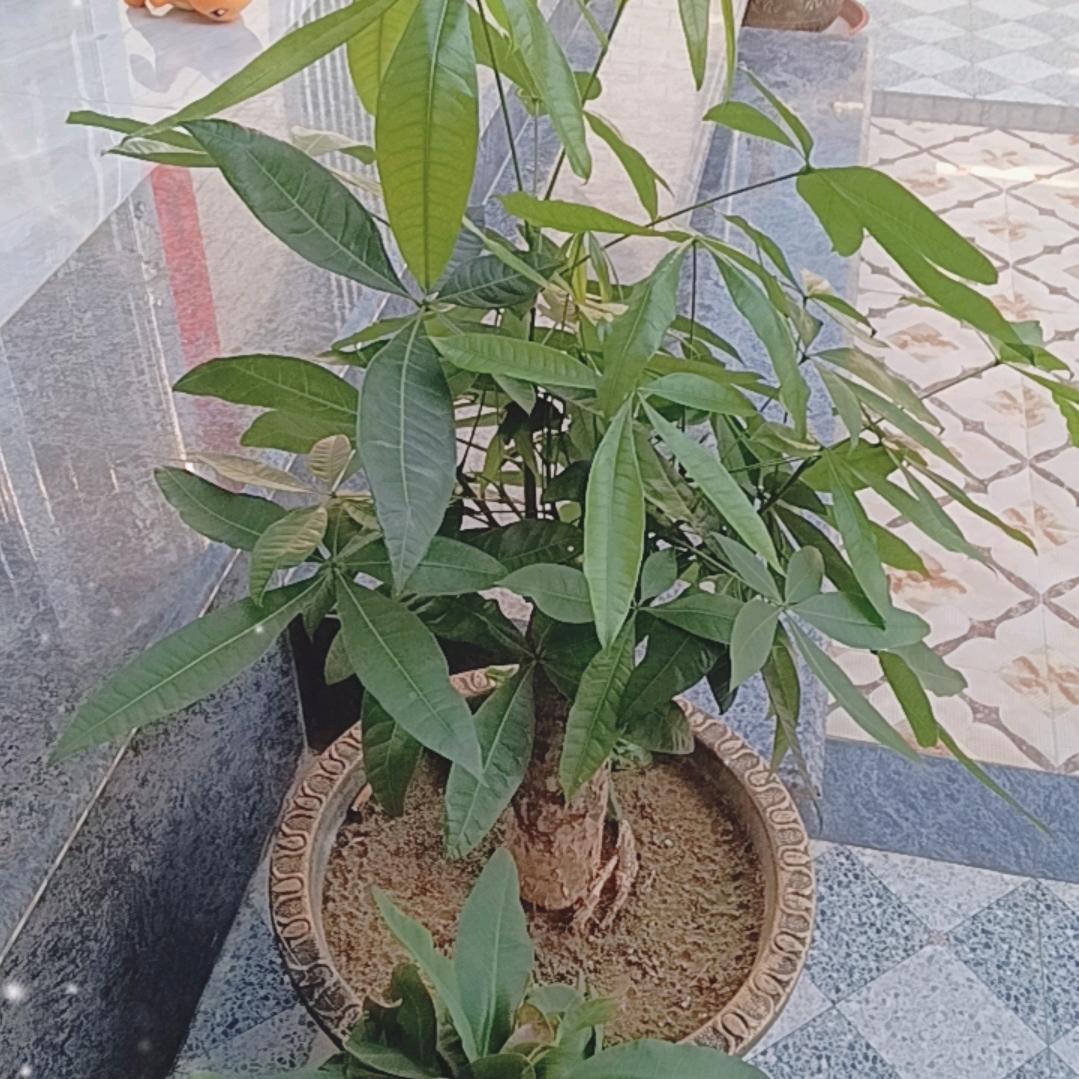 不忘初心