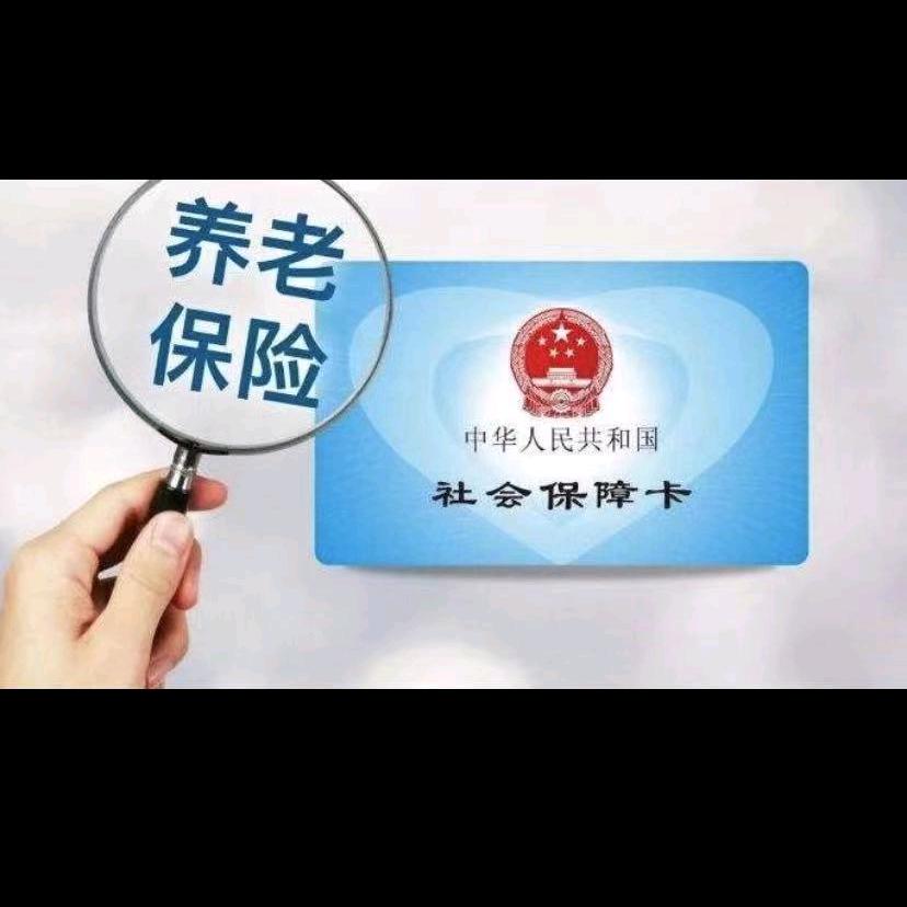 社保规划师