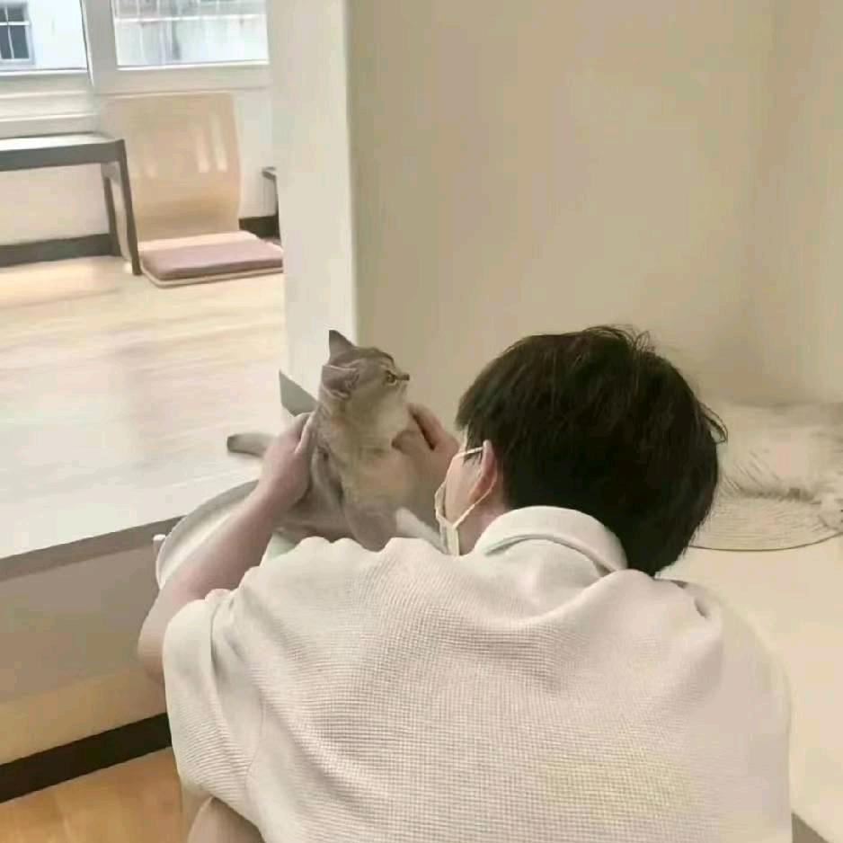 没蜡笔的小新