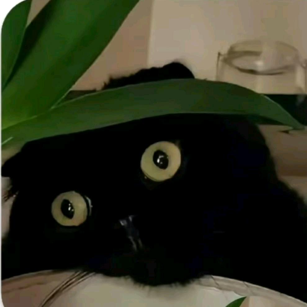 秝      珵