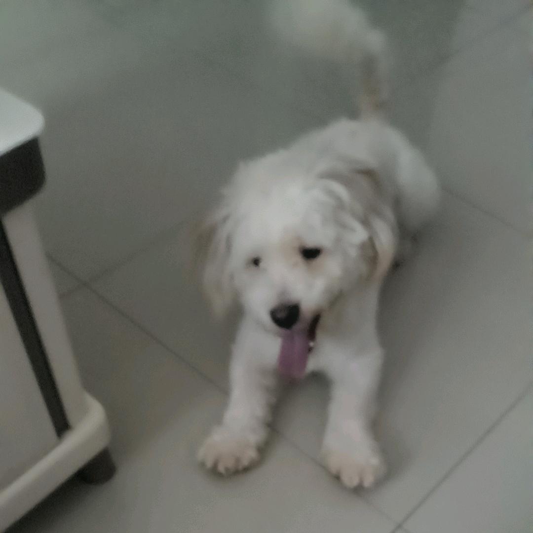 又一天