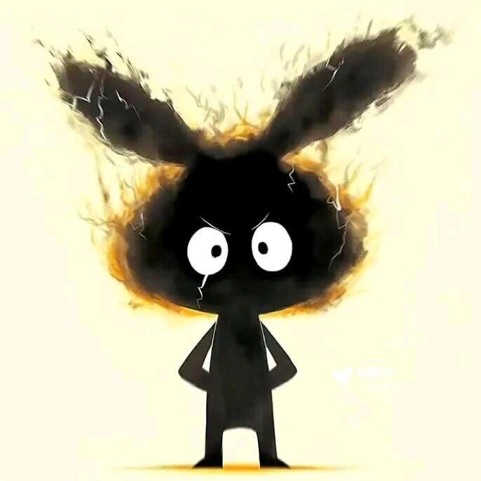 黑水带你看演出