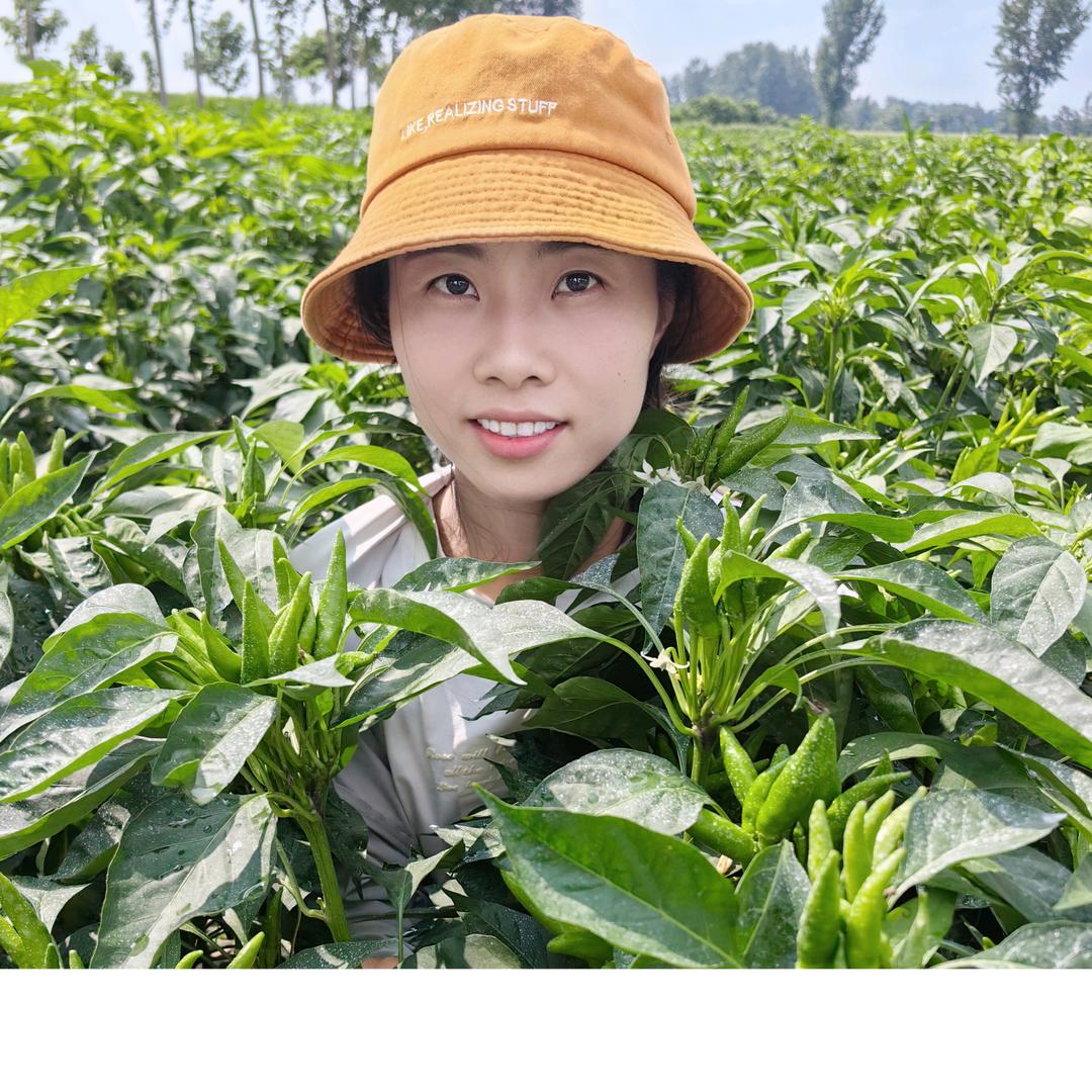 太康景禾农业（桐城店）