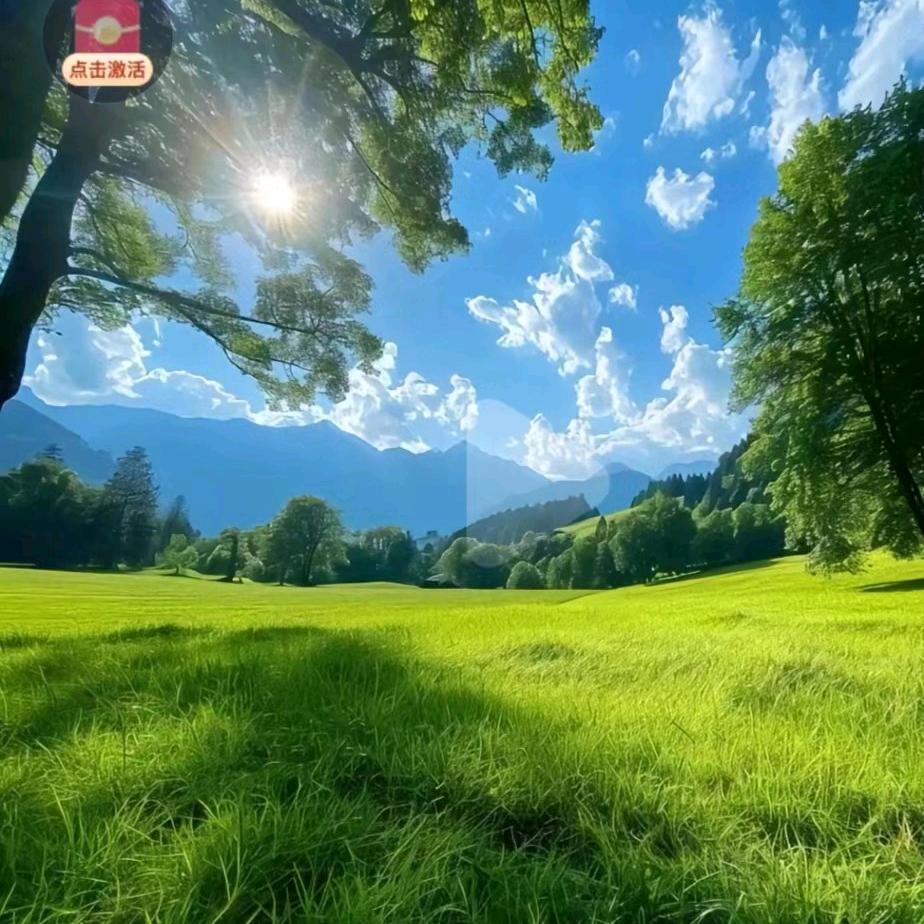 一帆风顺-