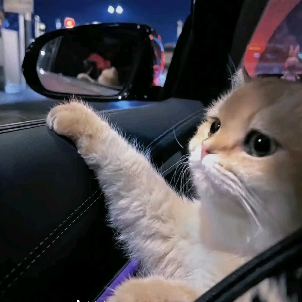有你够了