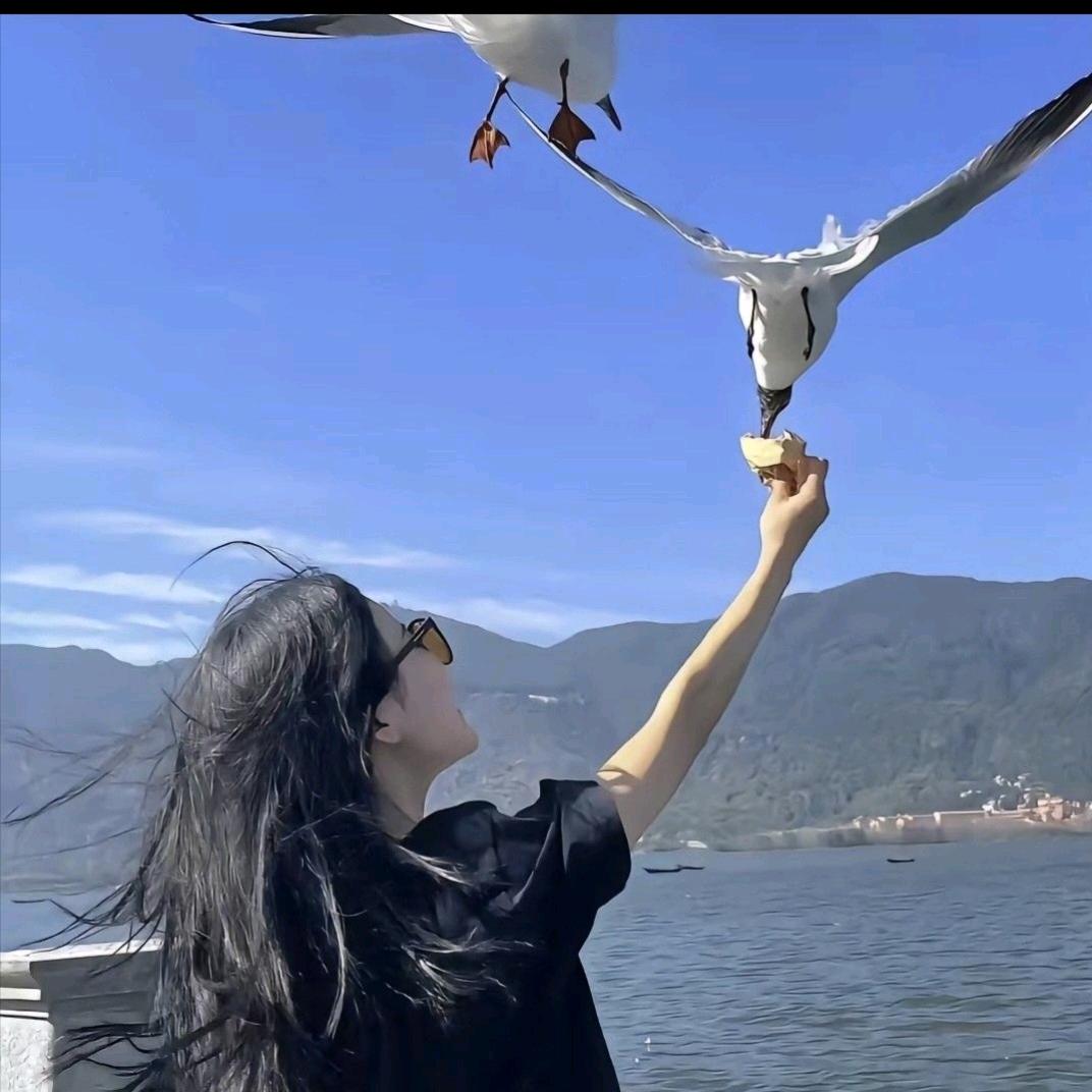 小粉丝