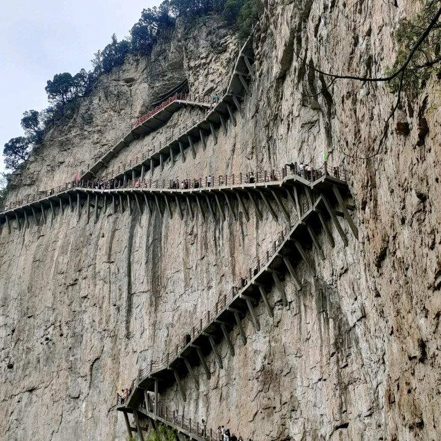 俺箭哥