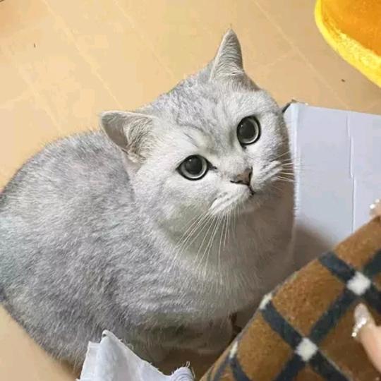 哈喽宠物用品生活馆
