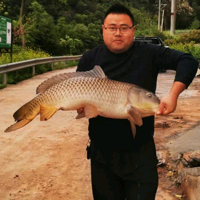 龙三渔乐