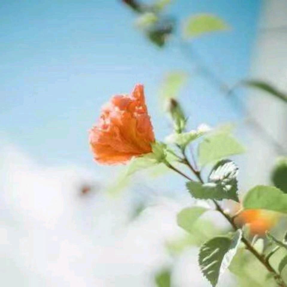 曲靖舒记建水烧烤