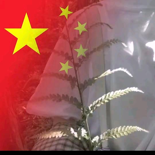 赚钱买台新电脑