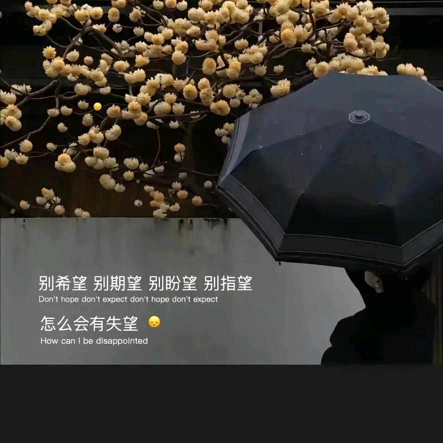 安于命︎●