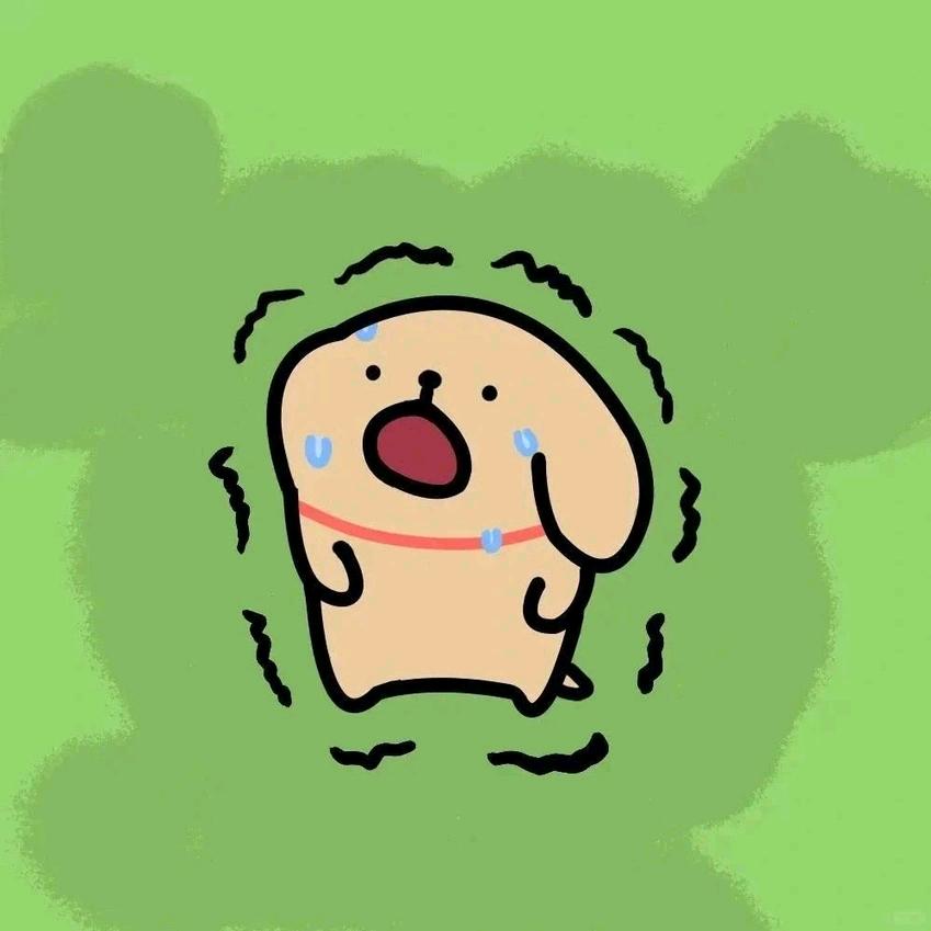 锦鲤小静