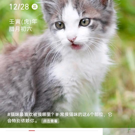 念宝