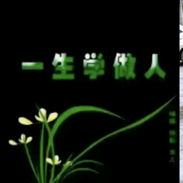 鹿邑马铺李倩倩