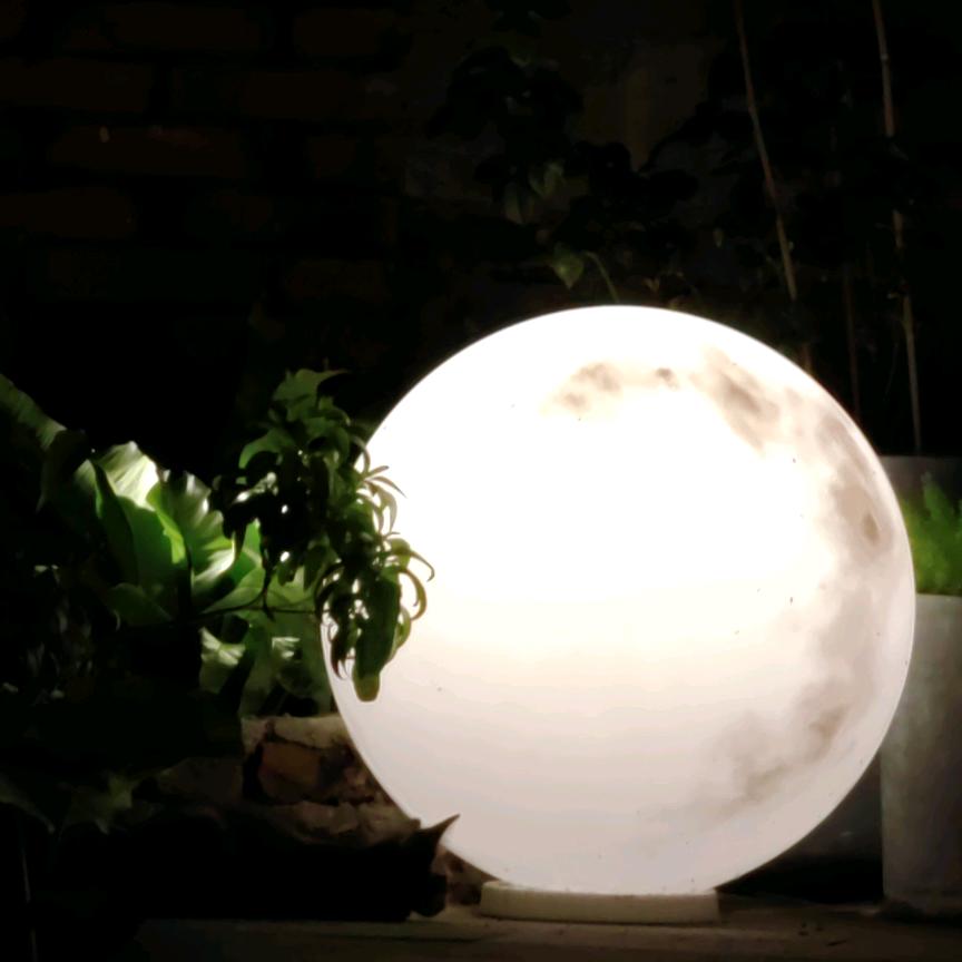 在三水做装修的老梅！