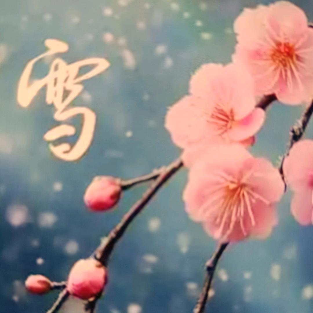 晓雪老师教练字