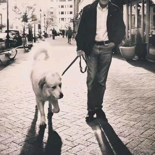 ▁犬园こ大叔う丶