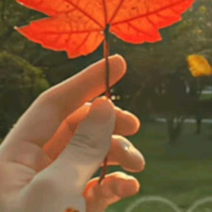 厚德载物