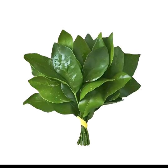 抱抱头像
