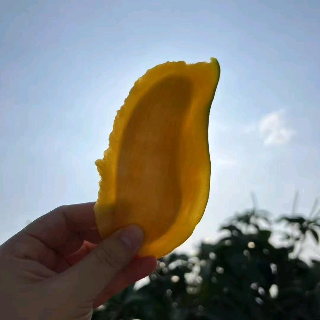 贝儿不哭