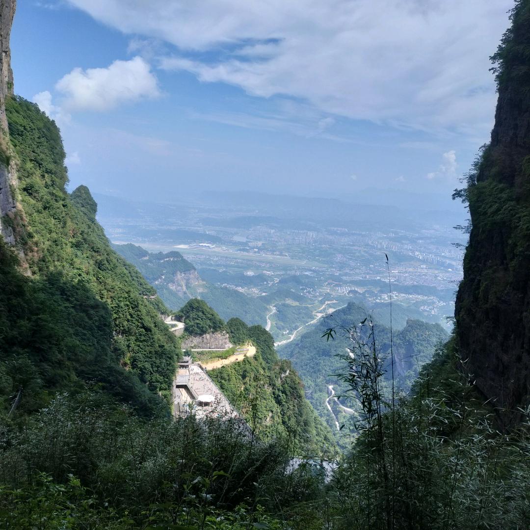 曼