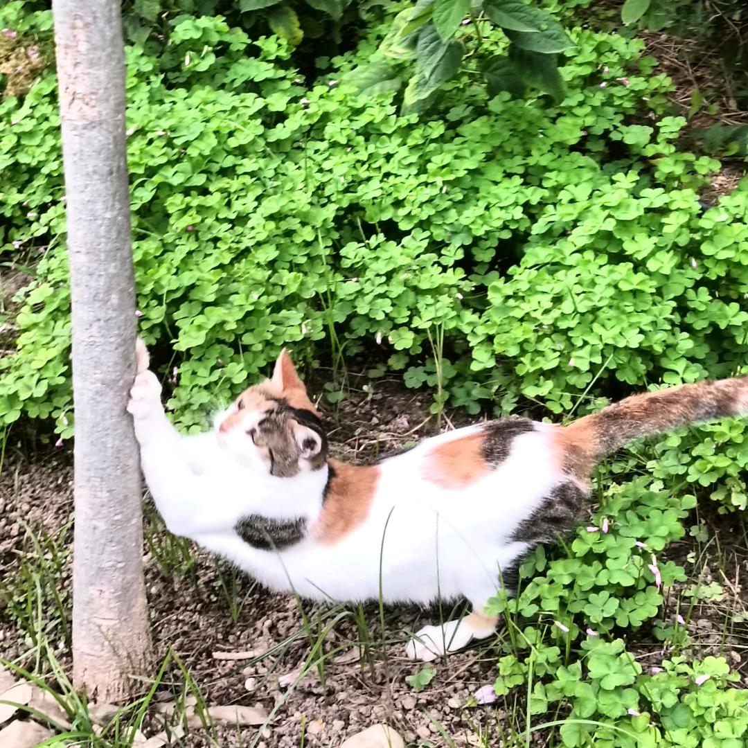 而今迈步从头越