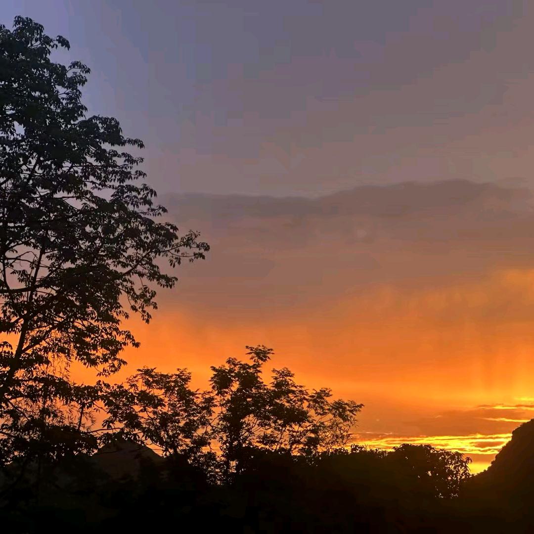 ღ᭄傻丫头꧔ꦿ᭄💞