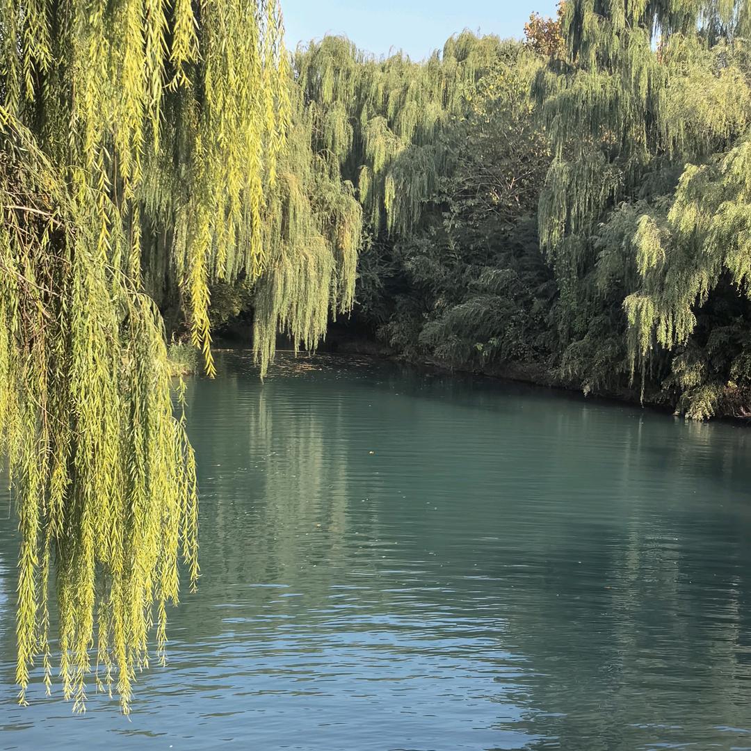 晴天☀☀☀万家乐厨电