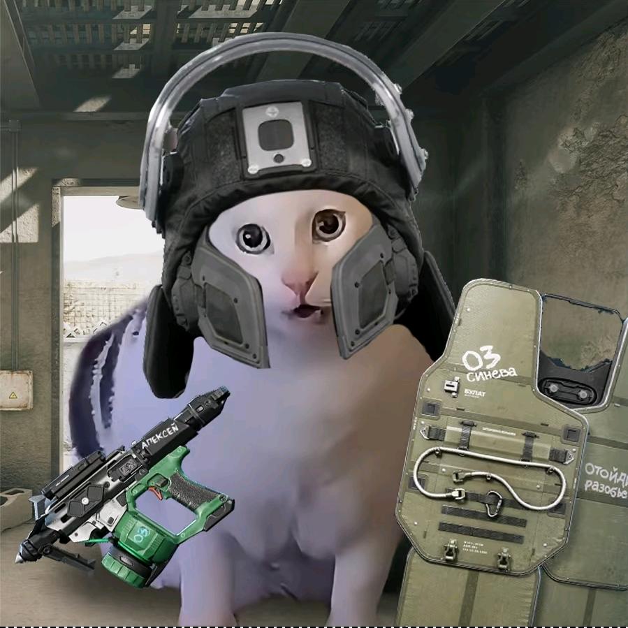 三角洲在逃蒜头