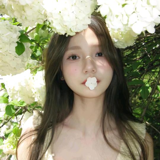 唯一的茉莉花
