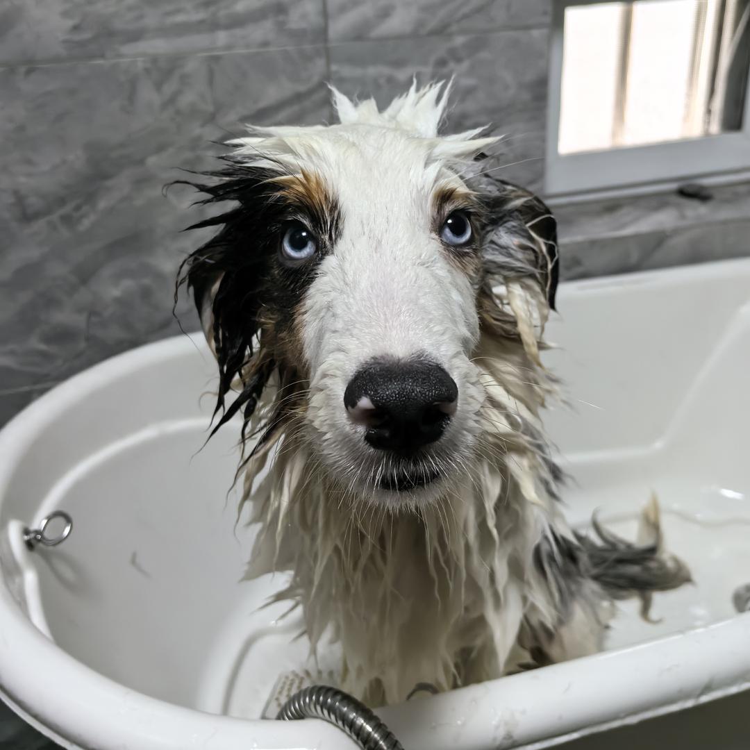 开心+木木+宾哥