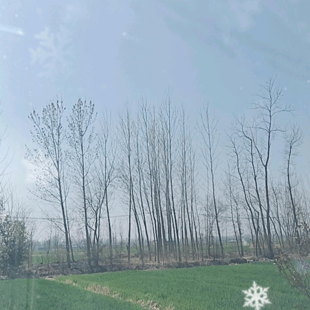 小太阳🌴