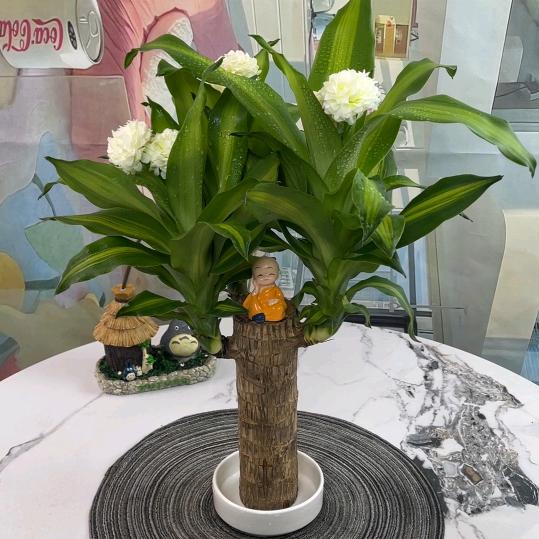 阿森贴心花坊