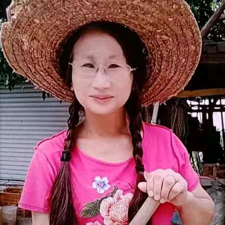 芸姐记录日常