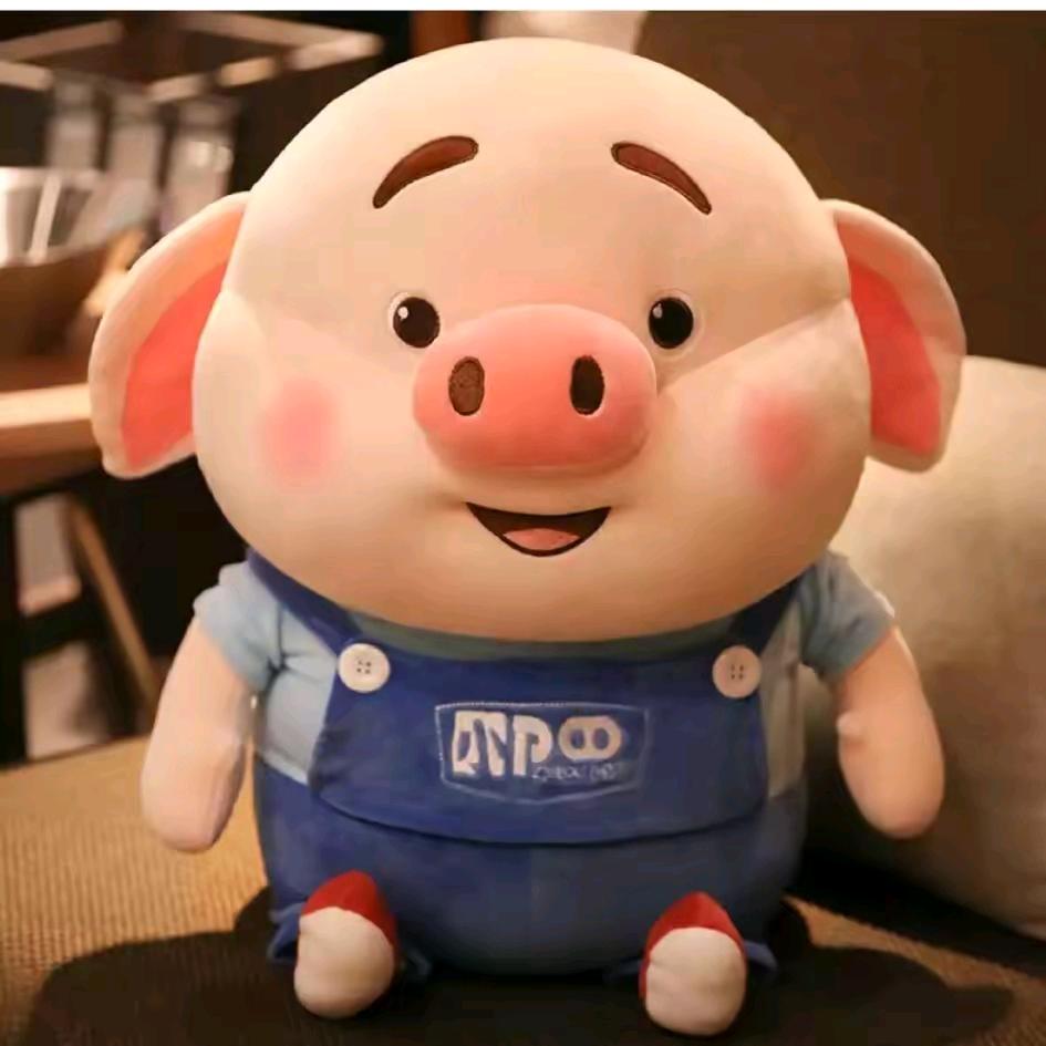 （小猪）依然我爱你