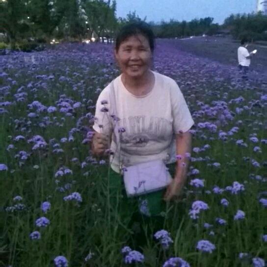 你们唱的太好