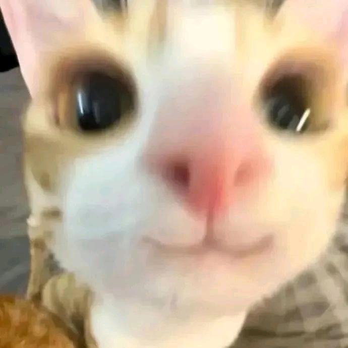 啦啦啦